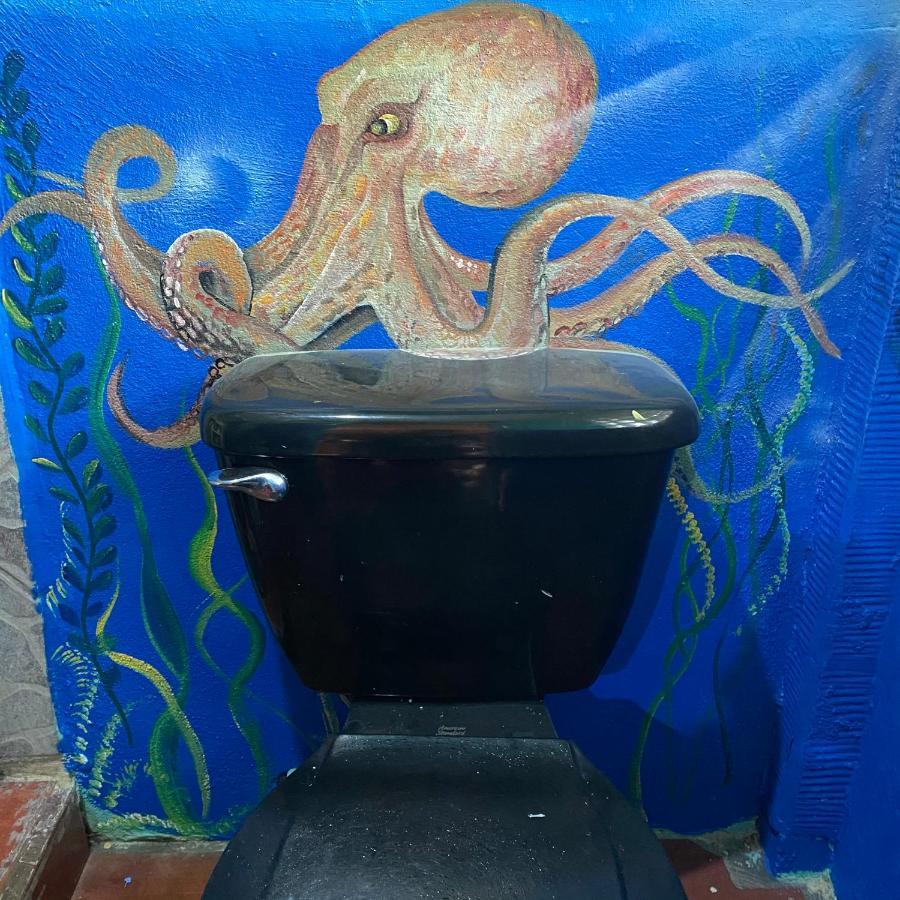Puerto Viejo de Talamanca Hidden Jungle Beach House מראה חיצוני תמונה