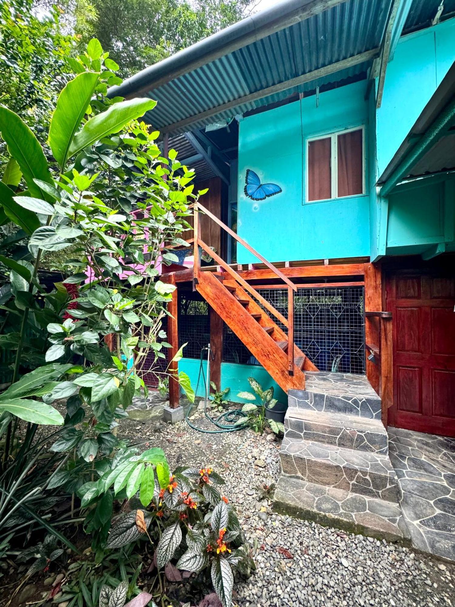 Puerto Viejo de Talamanca Hidden Jungle Beach House מראה חיצוני תמונה
